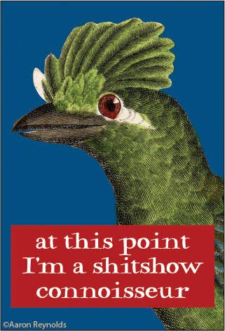 MAGNET: At this point, I'm a shitshow