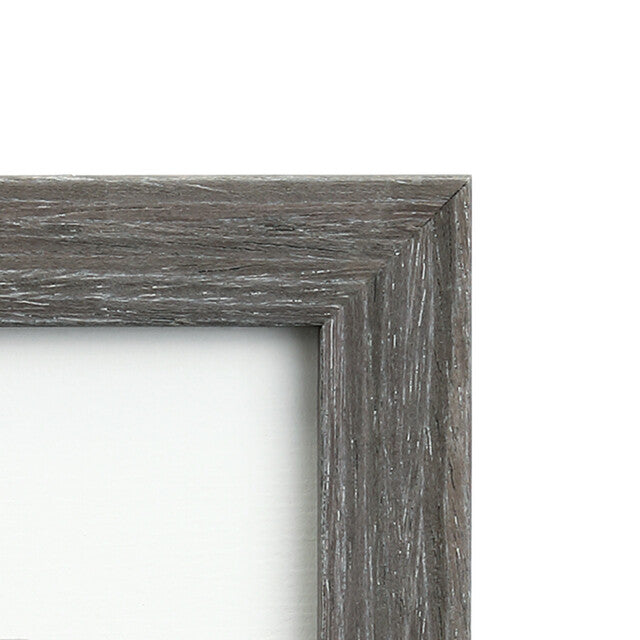 Baby Bird Frame