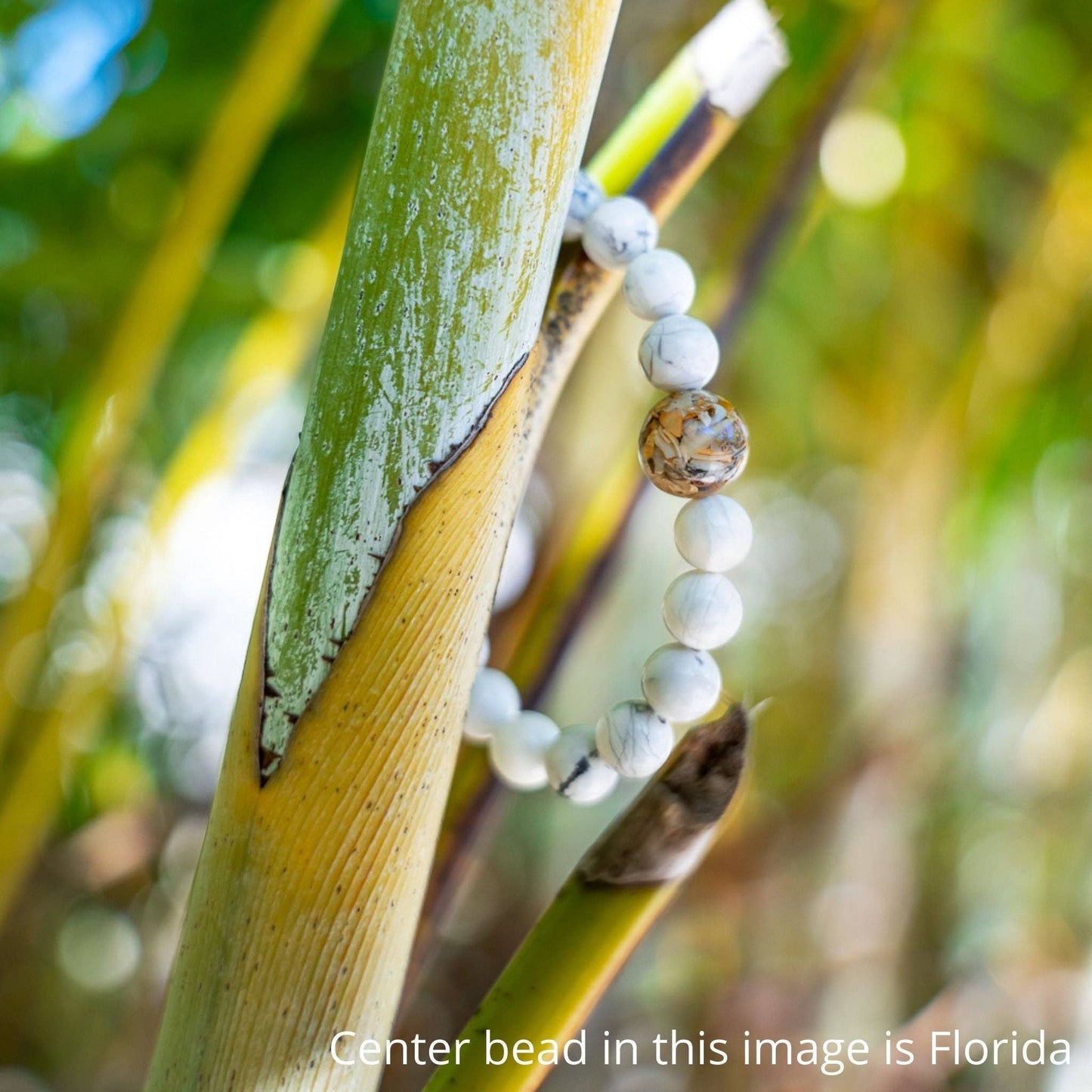Homes Bracelets - Wear a Real Piece of South Carolina - White Howlite